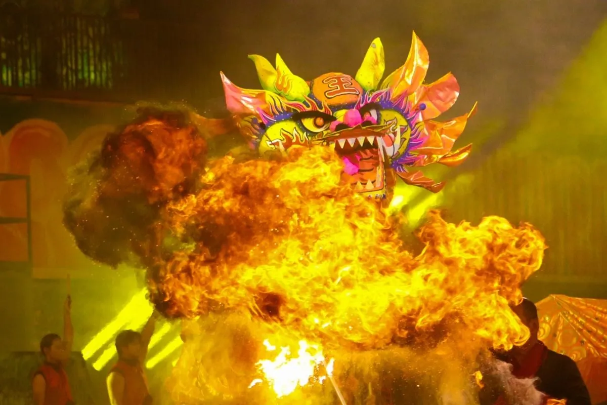 Lion dance performance at a community event